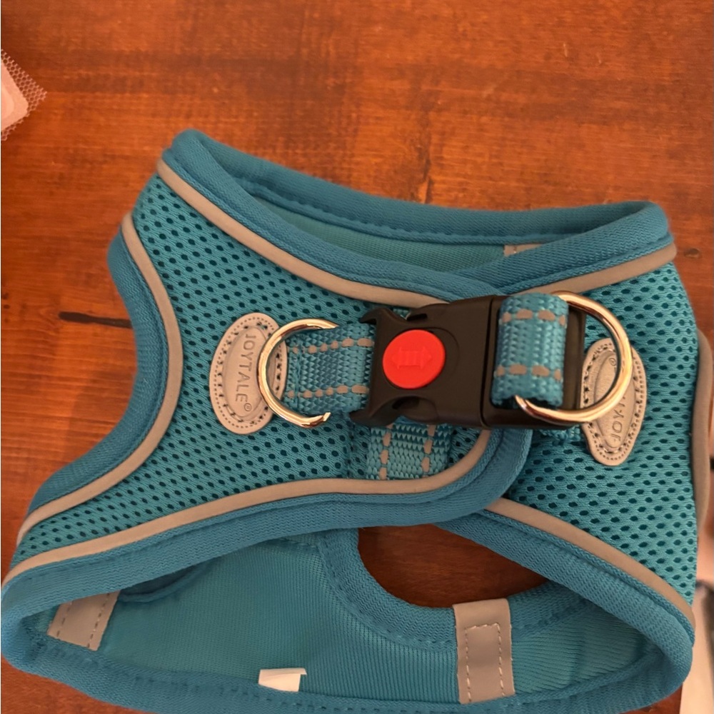 Blue Dog Harness - Picture 3 of 3